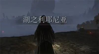 捣蛋鹅双人版