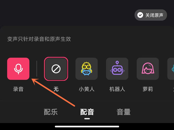 向华胜老婆是什么名字(向华胜老婆端木樱子的资料)