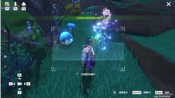《光遇》禁阁赏花方式介绍