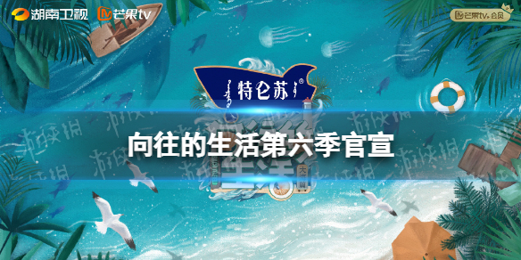 荣耀magic4是什么系统