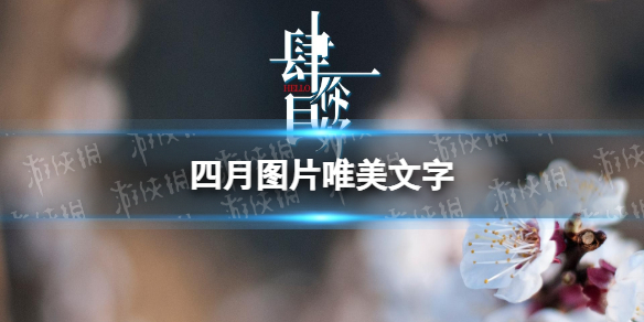 607a.t∨下载