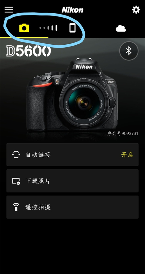 抒发森林