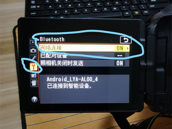 抒发森林