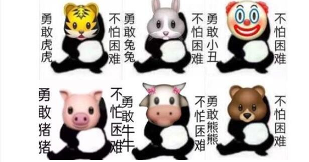 葫芦娃31life最新app