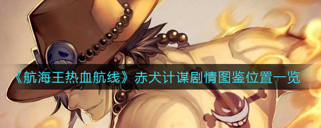 B多多app