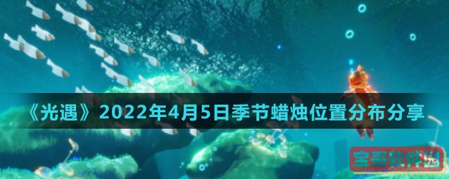 模特直播app