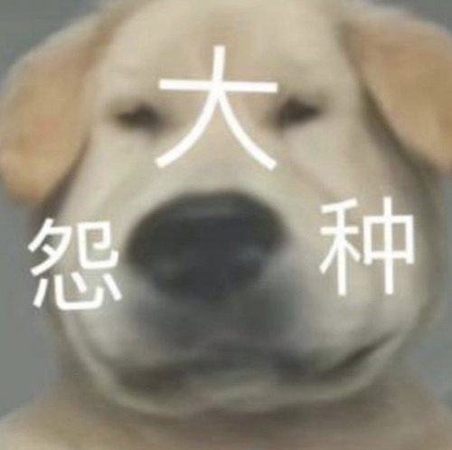 雏姬app