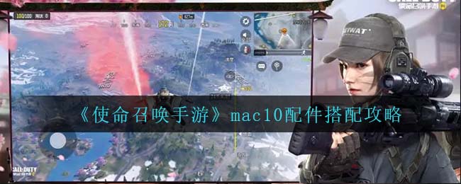 抒发森林