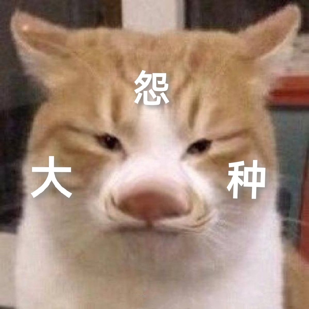 雏姬app