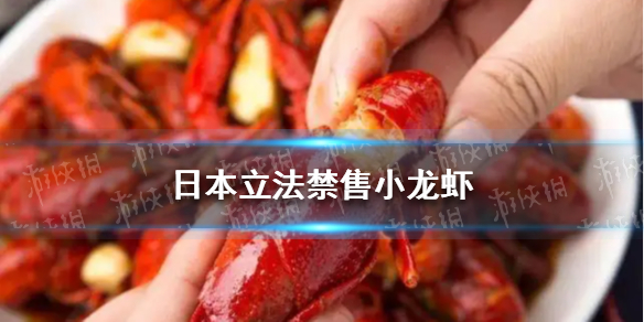 郭曦文演过什么电视(郭曦文真的是演员吗)