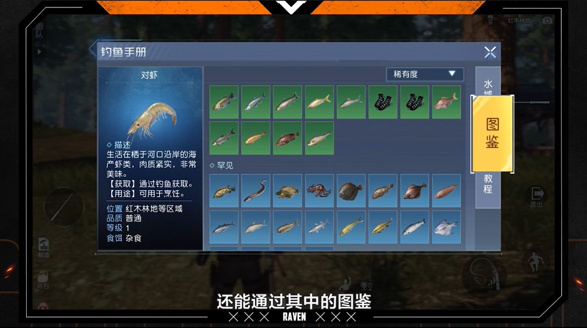 艾尔登法环全地图碎片位置介绍