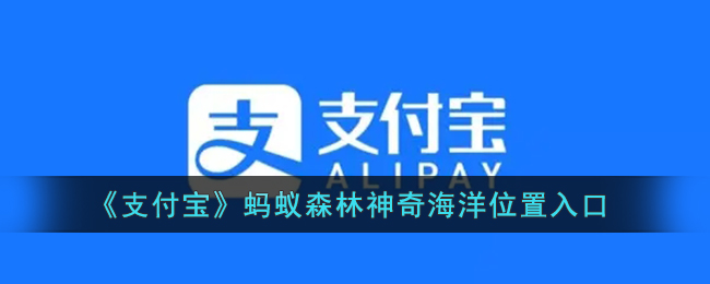 郭曦文演过什么电视(郭曦文真的是演员吗)