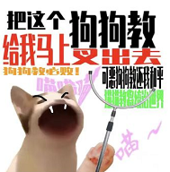 《地下城堡2：黑暗觉醒》星骸骨戒装备效果
