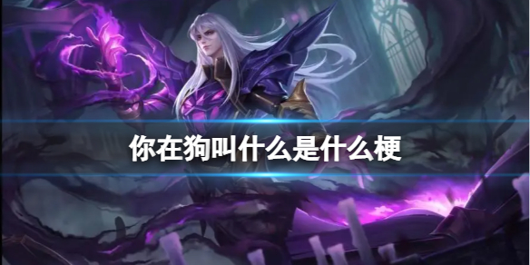 雏姬app