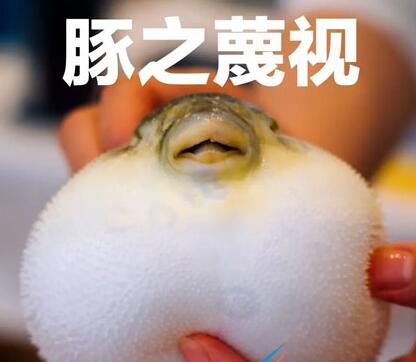 《诸神皇冠》吉祥结获取方法介绍
