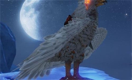 爆料ax
