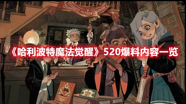 口袋妖怪漆黑的魅影正版