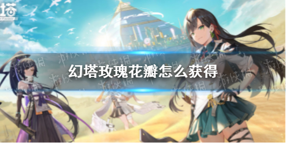苗苗真名叫什么(苗苗郑恺是什么关系)