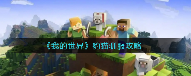 爱租机