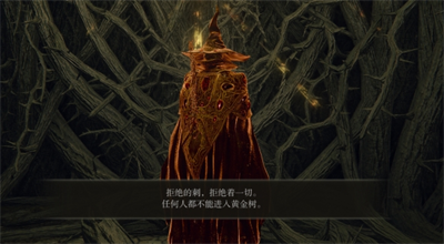 鞋子进化3D