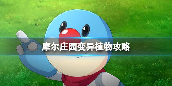 50度灰app官网版下载
