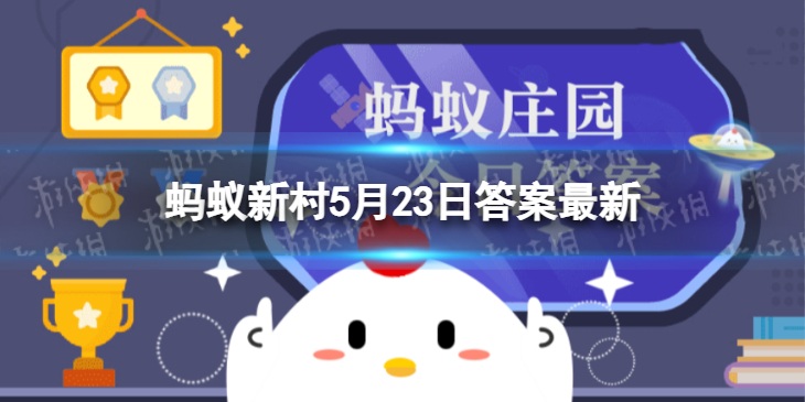 夺笋高手正版