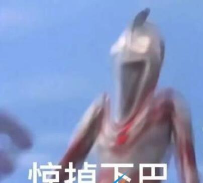 太荒初境紫灵花采集方法