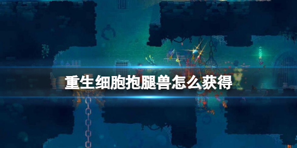 扣扣传媒app