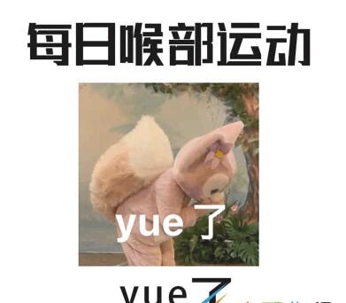 B站硬核会员题库大全 2022B站硬核会员答题答案汇总