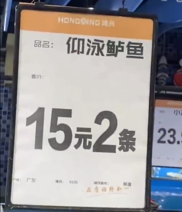 ipad下面的白色横条怎么关闭
