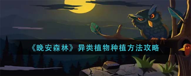 爱租机
