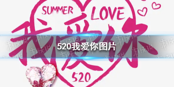 黑色沙漠宠物鹰任务攻略