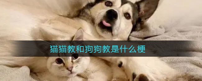 《地下城堡2：黑暗觉醒》星骸骨戒装备效果