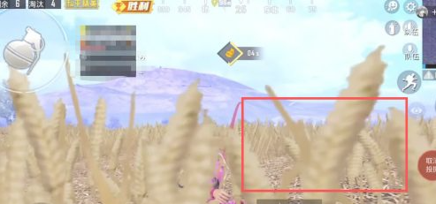 2022大英赛B类答案出了吗