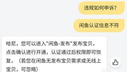 re05cc快猫视频app