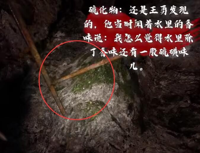 明日之后情人节元宵节双节福利活动介绍