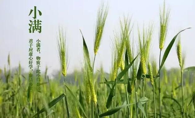 邦邦视频下载app