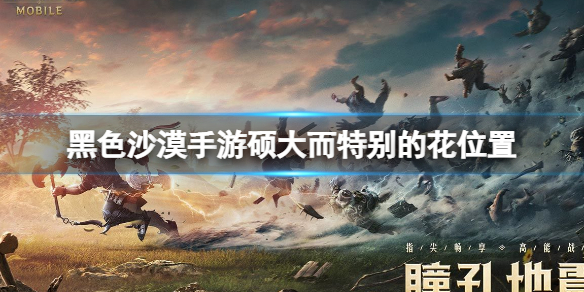 今天几号十六号咯是什么梗