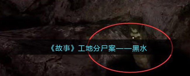 新手值得入手的单反相机