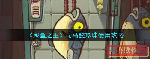 迈巴赫为什么挂黄牌(迈巴赫黄牌车要什么驾照)