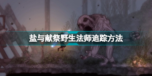 夫妻中毒死亡 家属向房东索赔99万(究竟发生了什么？)