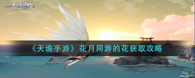 片多多