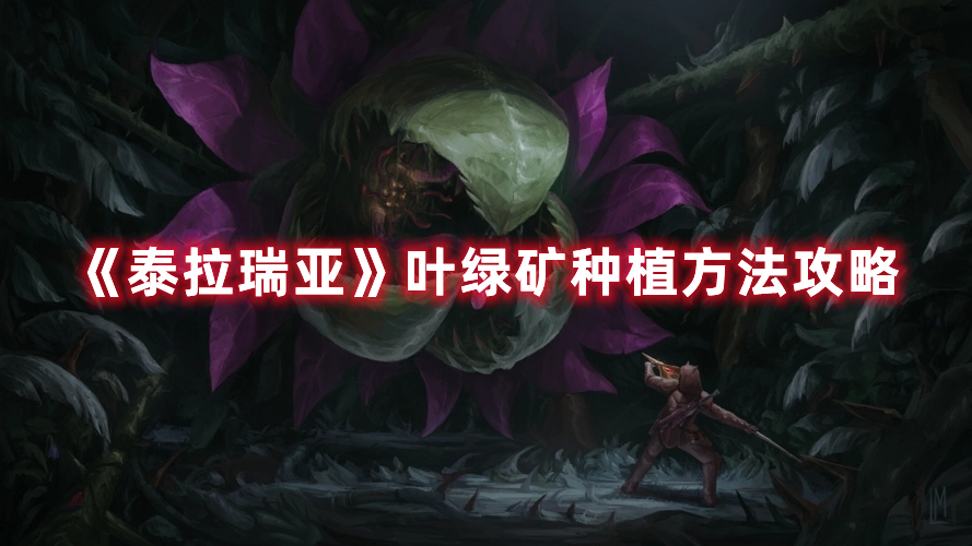 芭蕉视频app安卓