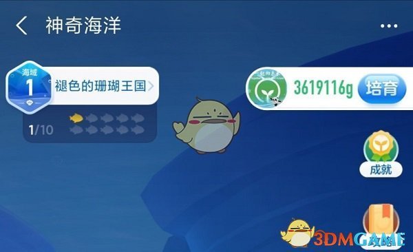 K星球怎么看高分电影解说