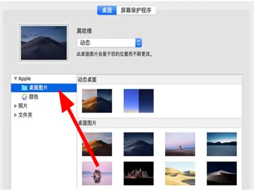 re05cc快猫视频app