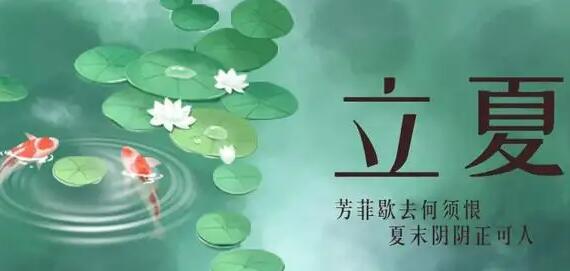 分贝相机