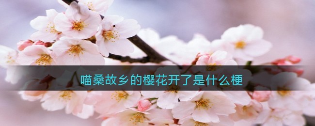 《脑洞大侦探》侦探系列第23关攻略