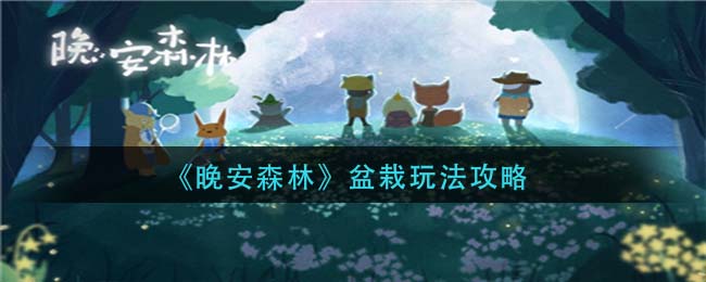 自选车牌号自编车牌号攻略(交管12123怎么自选自编车牌)