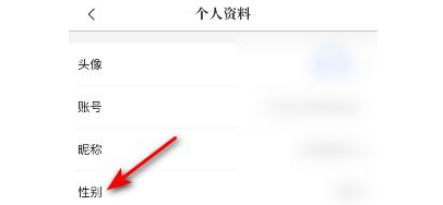 《洛克王国》小小飞儿性格推荐