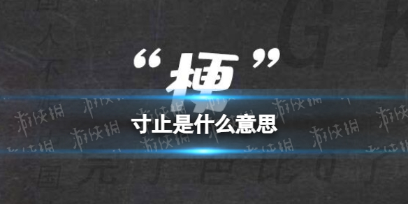杨幂杨洋顾漫买下KPL火豹战队 曾获2022年K甲春季赛冠军